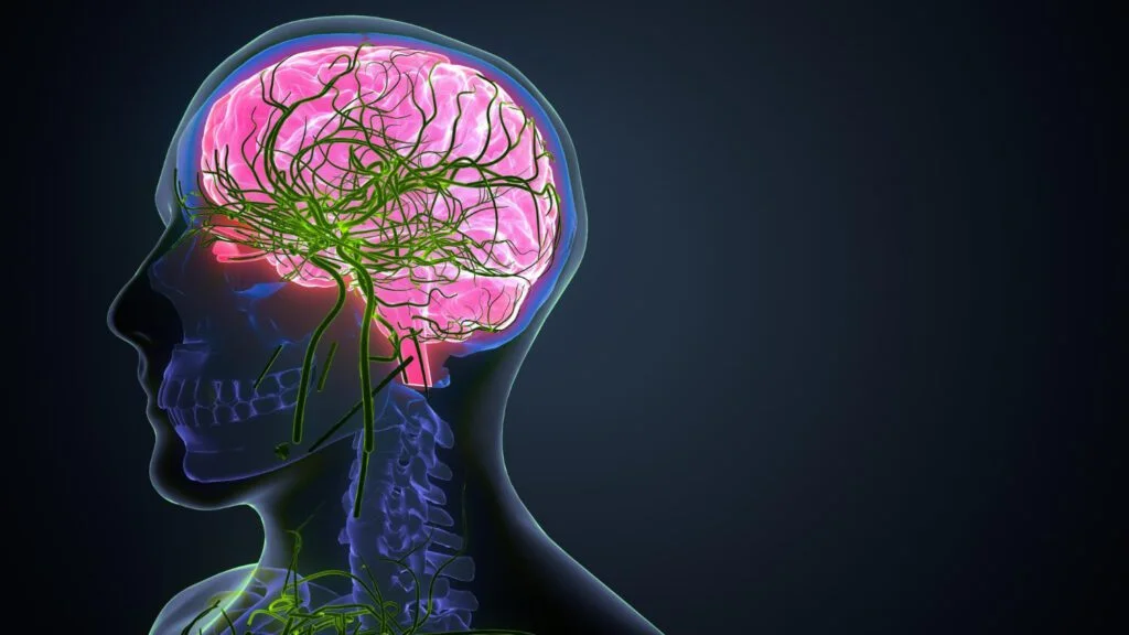 Neuromodulação