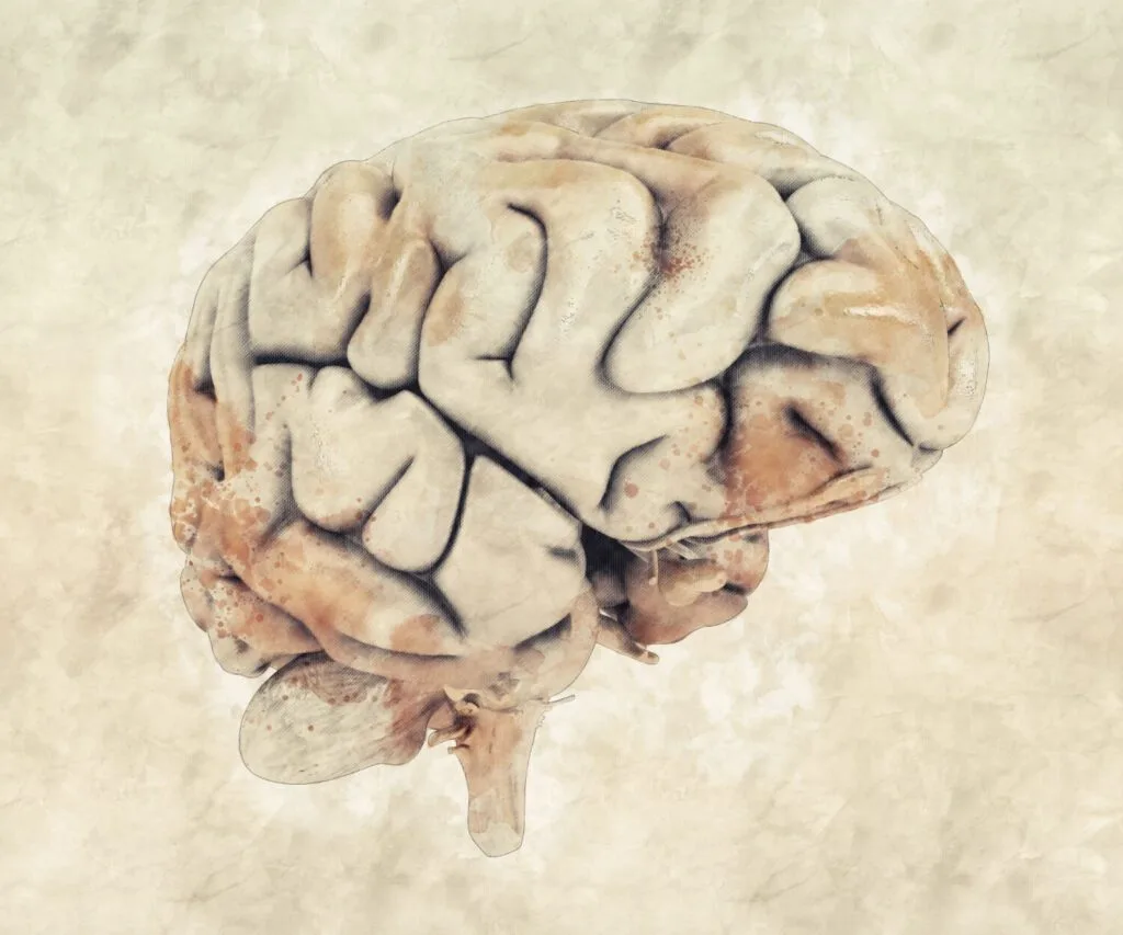 Dr. Sérgio Adrian Fernandes Dantas - Neurocirurgia - Imagens Cerebrais Acabam De Ficar 64 Milhões De Vezes Mais Nítidas Imagens Cerebrais