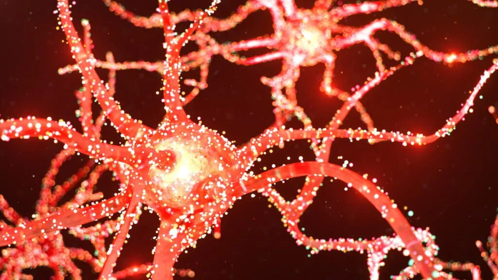 Dr. Sérgio Adrian Fernandes Dantas - Neurocirurgia - Bactéria Intestinal Pode Agravar A Doença De Parkinson, Conclui Estudo Bactéria
