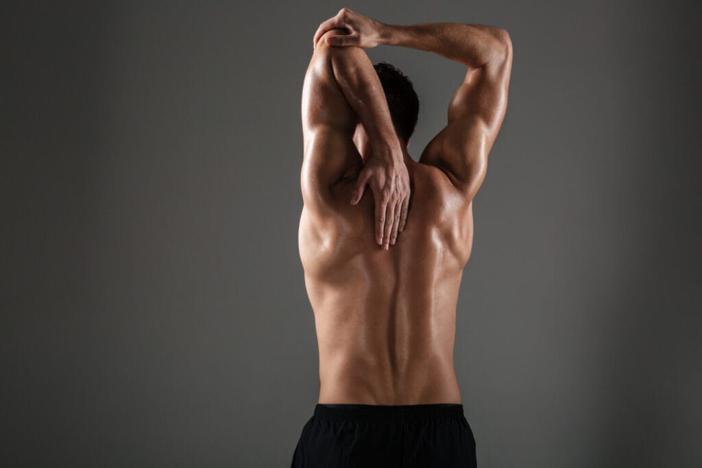 Dorsal